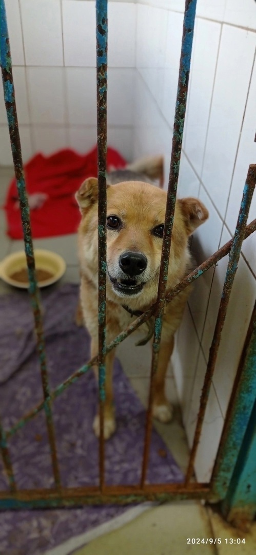     .     ,  .  ,     ,  .       ... 