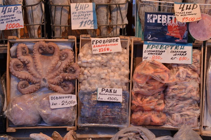 At the coldest market in Russia - My, A fish, Market, Cold, Winter, Winter fishing, Yakutia, Longpost