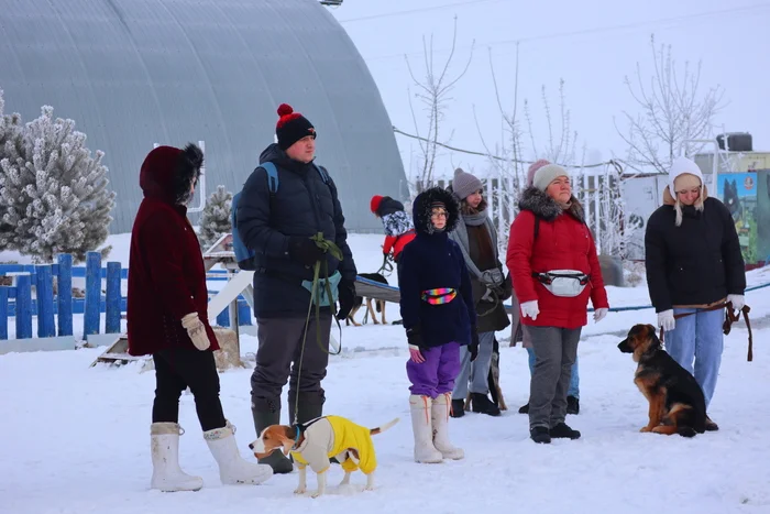 Dog training in Omsk - OCSSSS 11/30/2024 - Dog, Puppies, Omsk, Training, Г“Г±Г±Г±, Friend, Care, Kindness, Dog breeding, Friends, Longpost