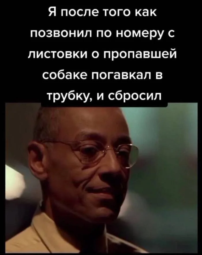 Зло во плоти - Юмор, Мемы, Картинка с текстом, Собака, Джанкарло Эспозито, Телефонный звонок, Telegram (ссылка)