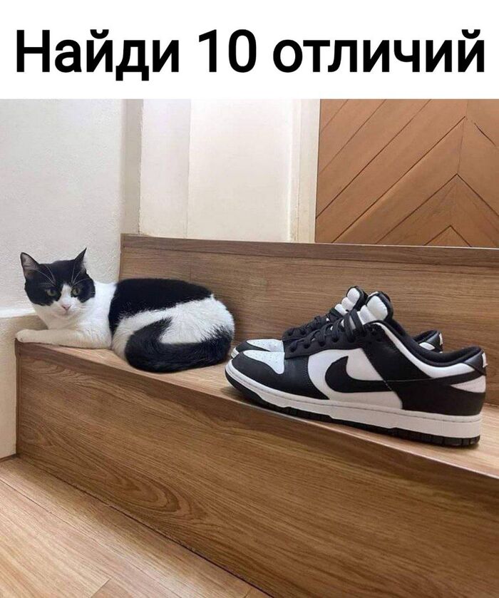       , , , , Telegram (), 