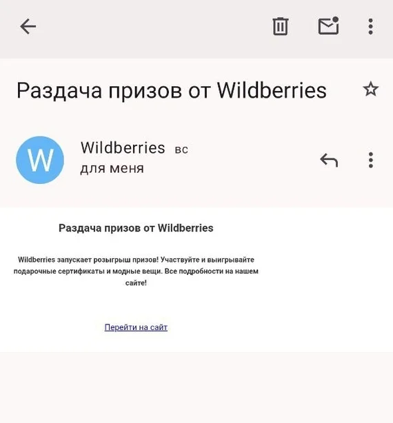 Phishing under the guise of emails from marketplaces - My, Fraud, Marketplace, Phishing, Wildberries, Internet Scammers