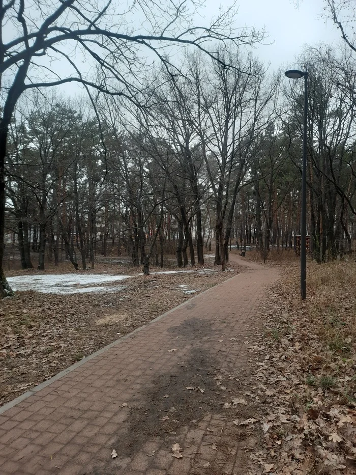 Parkovoe #3 02.12.2024 - Nature, Weather, Mobile photography, Landscape, The park, Lamp