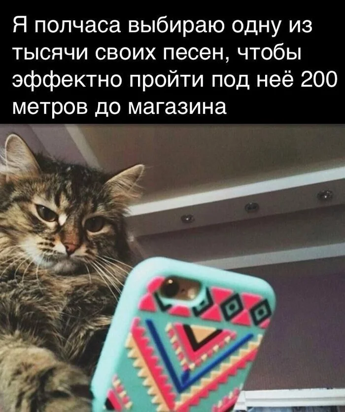 You can't go anywhere without headphones - Picture with text, Humor, Images, cat, Memes, Telegram (link)