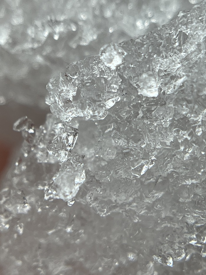 Снеговит в макро