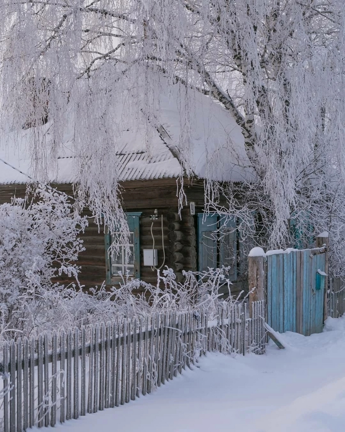 Белая берёза под моим окном... Омская область. Усть-Ишим
