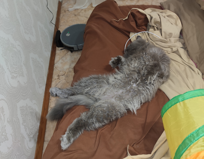 Помогал с уборкой и утомился)