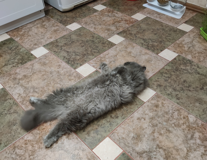 Стандартная поза для сна)