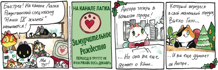 Koteikiny News from 02.12.2024 - My, Comics, cat, Koteikin news (comic), Translation