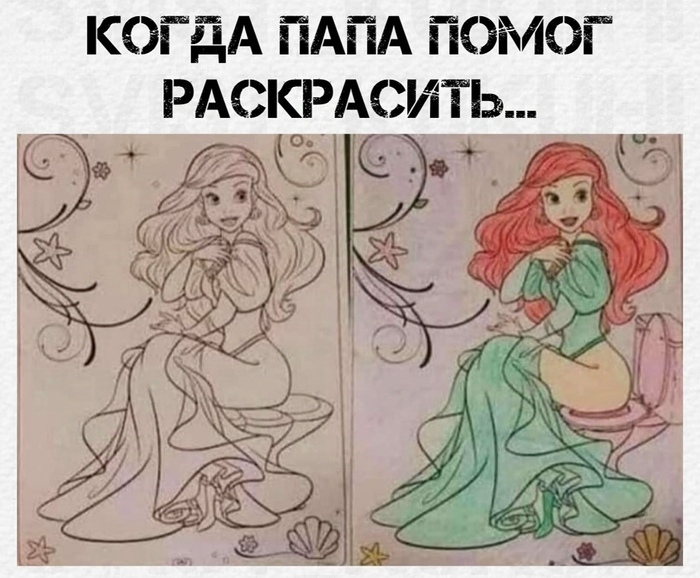    ,   , Telegram (), , ,  , , 