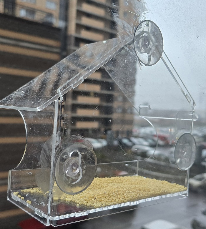 Птичья столовая открыта