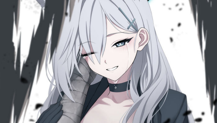 Another Universe Anime Art, , Blue Archive, Shiroko Terror, Animal Ears