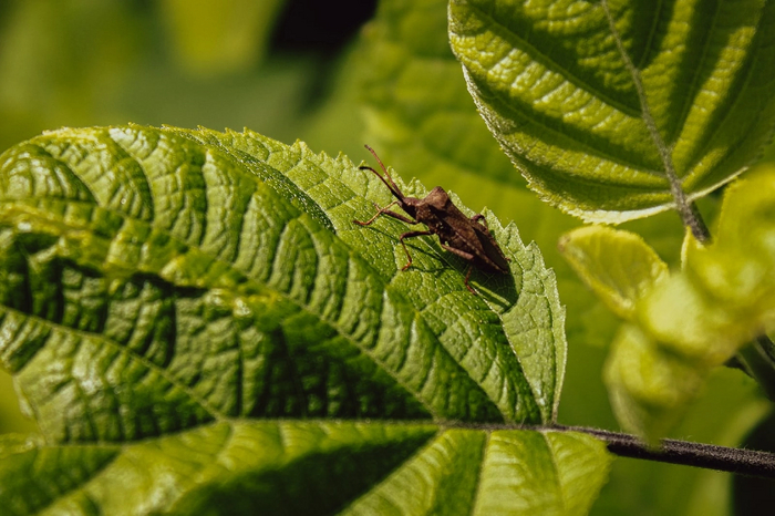 Без названия