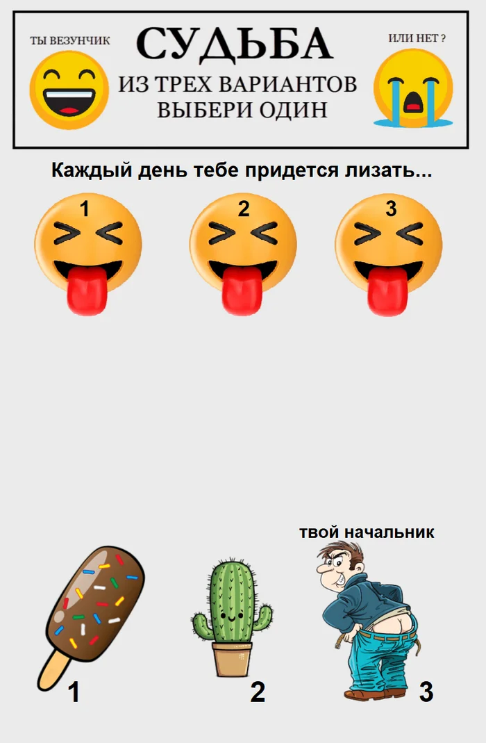 Are you lucky or not? - My, Humor, Strange humor, Food, Toilet humor, Expectation and reality, Luck, Picture with text, Images, Russia, Work, Bosses, Vital, Test, Caricature, Choice