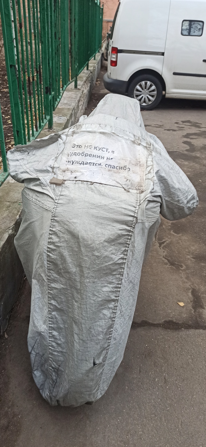 ��� �� ����...