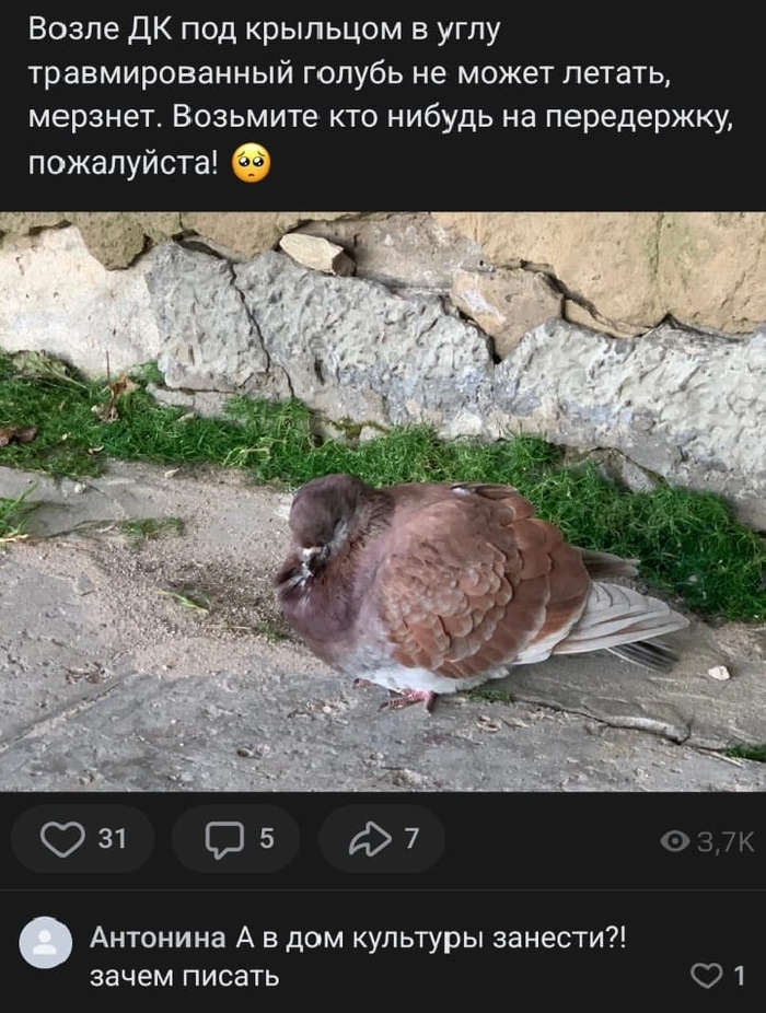 .    , 