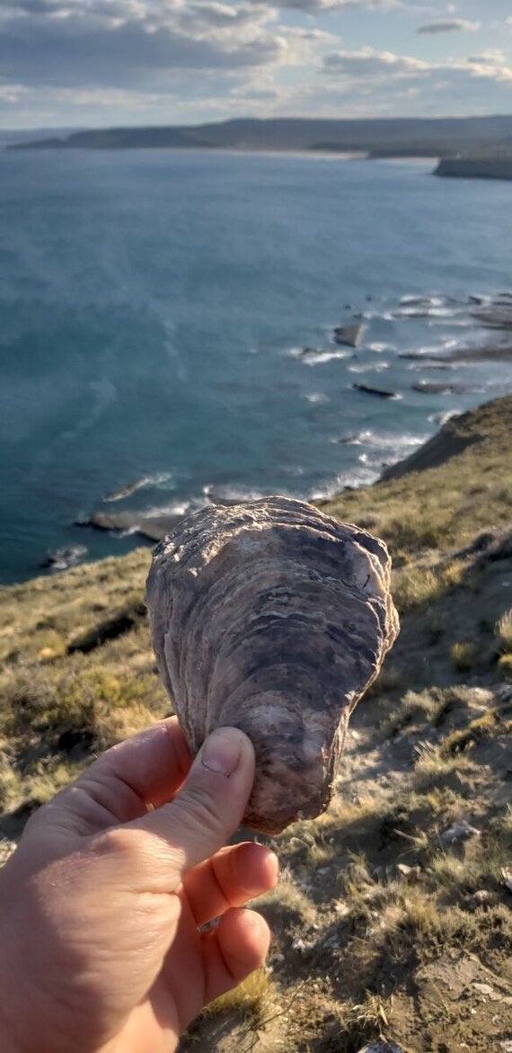 Trip to the observation deck in the town of Rada Tilyi - My, Solo travel, Bike trip, A bike, South America, Argentina, Atlantic Ocean, Bike ride, Cyclist, Cycling, Asado, Meat, Travels, Roasted meat, Longpost