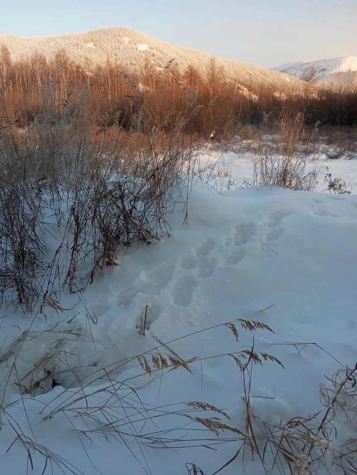 Life on TDS in the Taiga. The First Water Trip to Kolyma - My, Taiga, Kolyma, Weather station, Water, Difficulties, Longpost