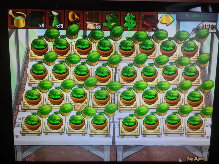      Plants vs Zombies,  , 