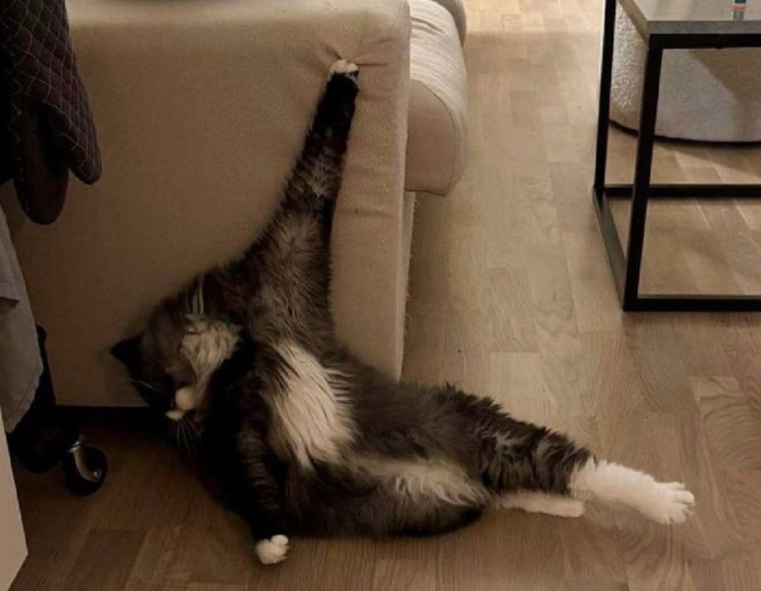 ��������� �������������