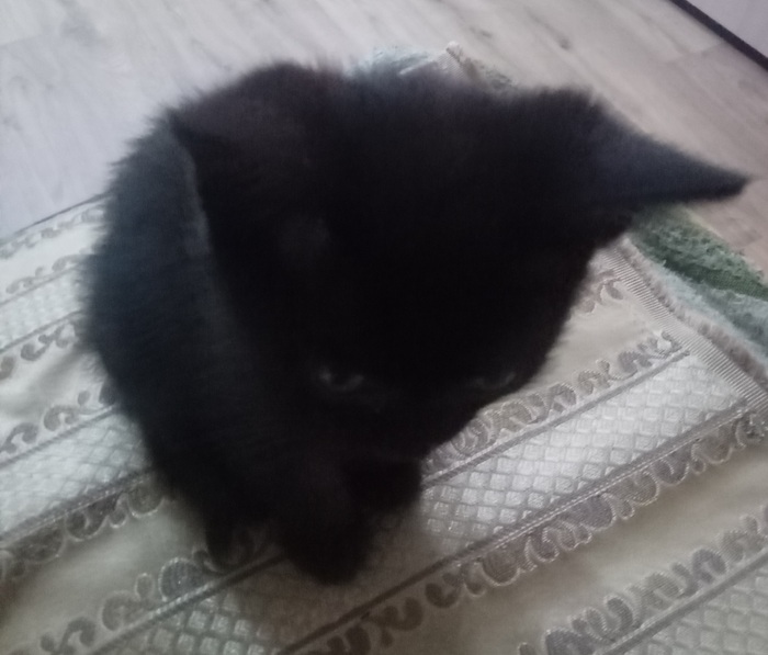    ,  , , , 