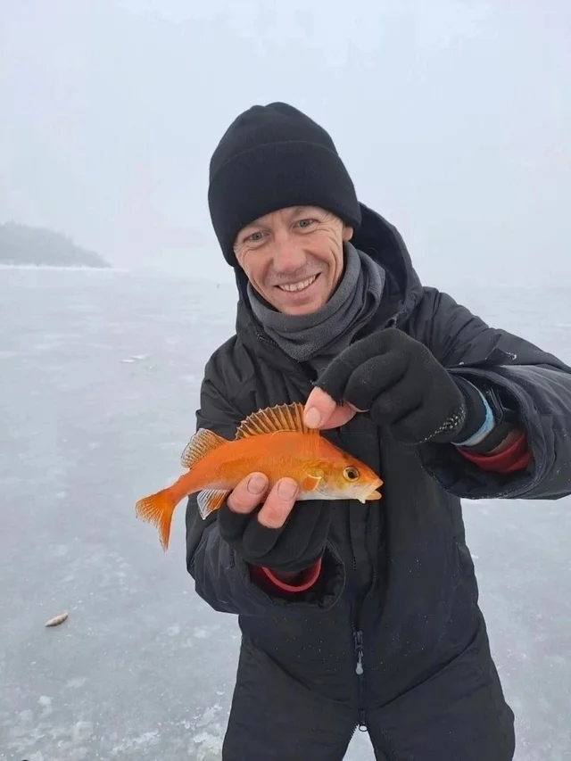 A fisherman from Solikamsk (Perm region) caught a goldfish! - Winter fishing, Wish, Gold fish