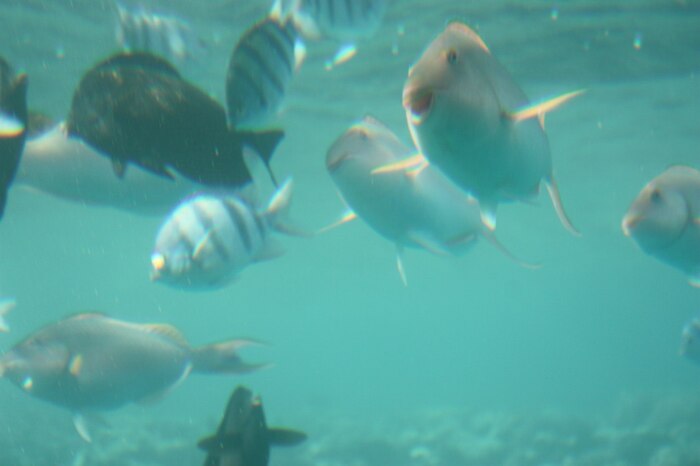 ������������ ������� ���������� ��� ��������� ��������� �����