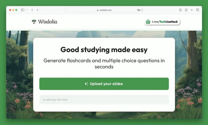 How to create flash cards from a website? - Innovations, Hyde, Technologies, Program, Trend, Telegram (link), Testing, Startup, Information Security, Designer