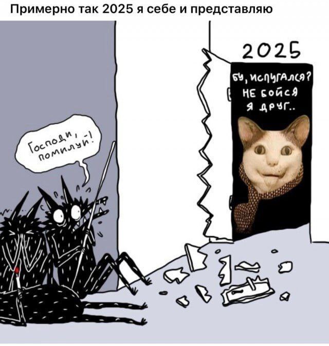        ? ,   ,  , 2025,  ,   