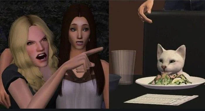 I'll just leave this here - Two women yell at the cat, The sims