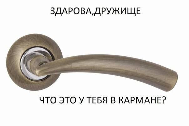 -, - ,   , ,  , , Telegram ()