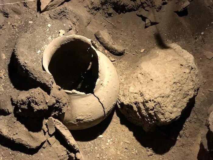 Фото из интернета с раскопок.