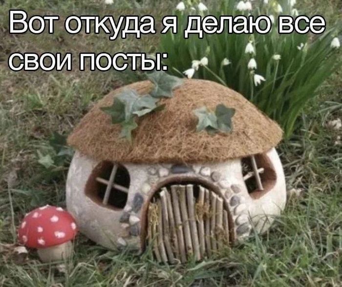 А вы откуда?