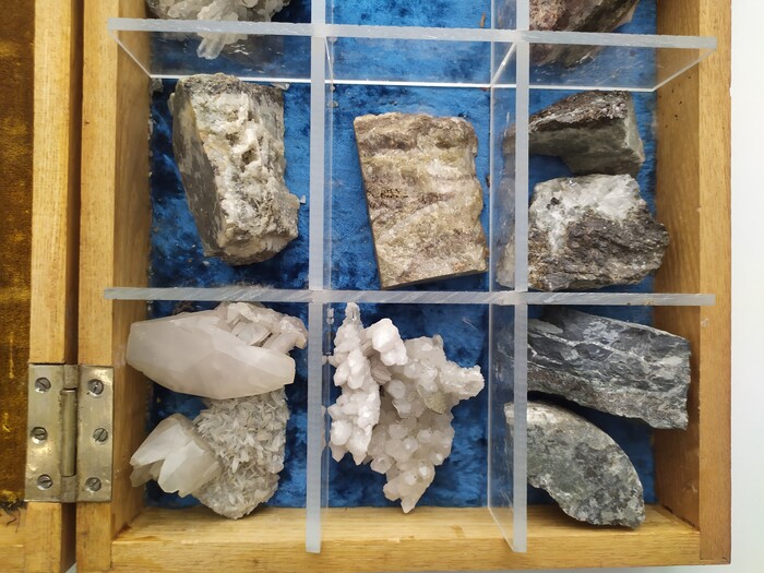 ������ ����