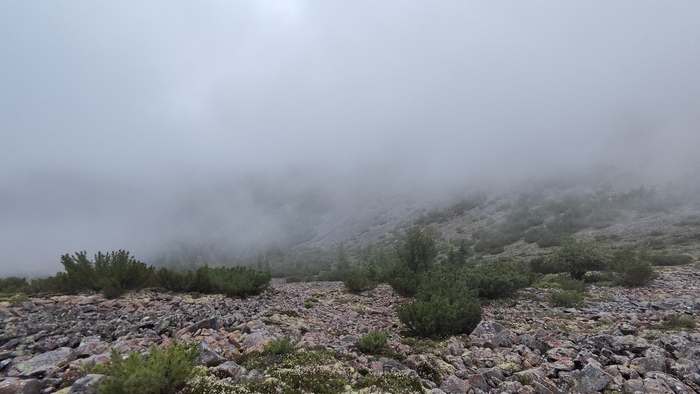 Маленькое приключение. Хребет Эзоп. Граница Амурской области и Хабаровского края Поход, Хребет, Горы, Длиннопост
