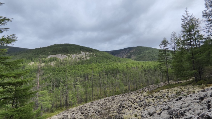 Маленькое приключение. Хребет Эзоп. Граница Амурской области и Хабаровского края Поход, Хребет, Горы, Длиннопост