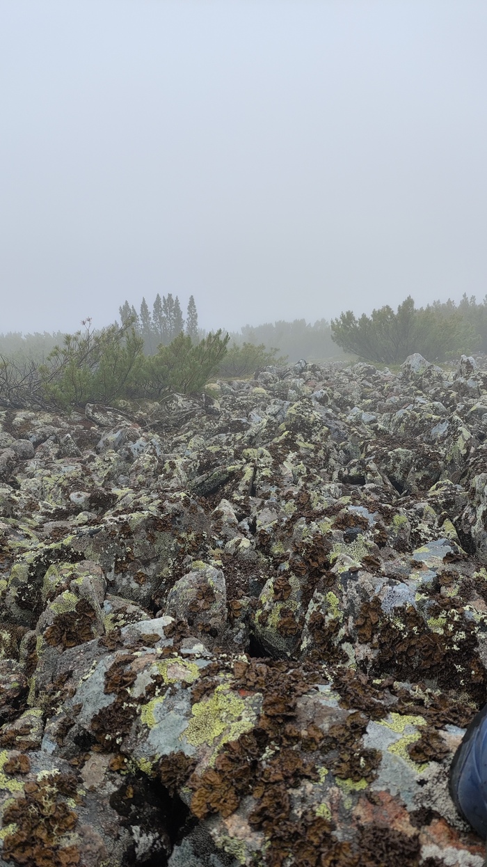 Маленькое приключение. Хребет Эзоп. Граница Амурской области и Хабаровского края Поход, Хребет, Горы, Длиннопост