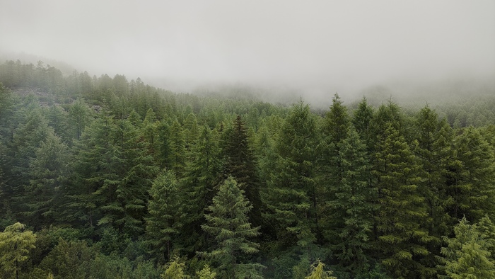 Маленькое приключение. Хребет Эзоп. Граница Амурской области и Хабаровского края Поход, Хребет, Горы, Длиннопост