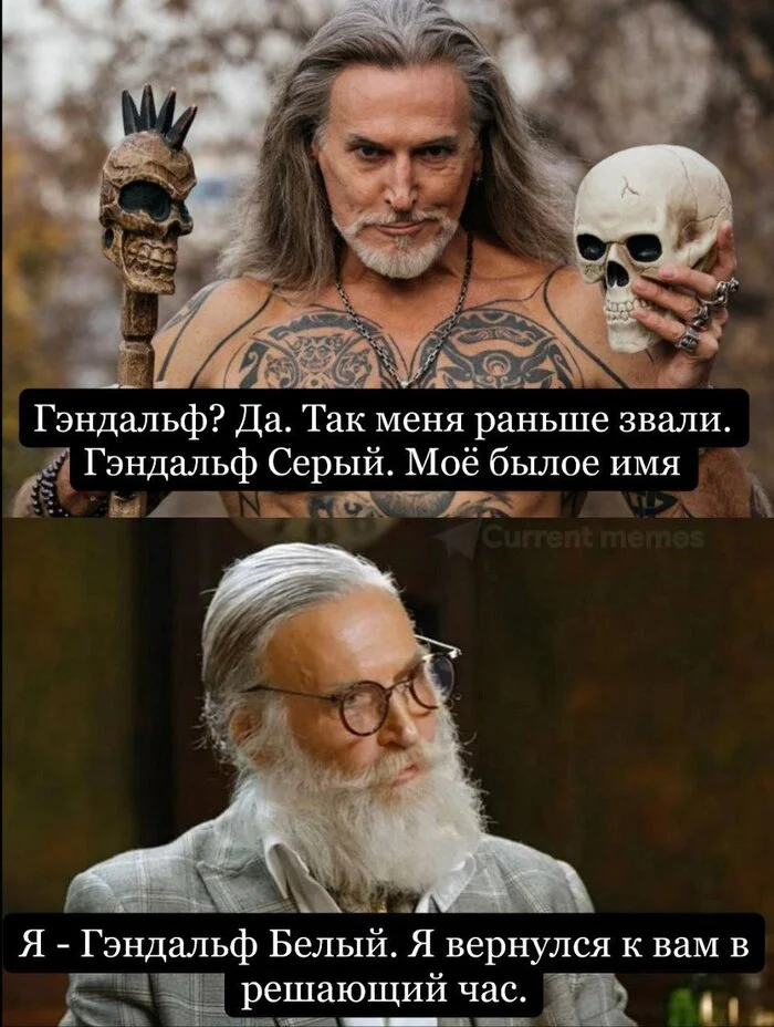 Gandalf - Nikita Dzhigurda, Lord of the Rings