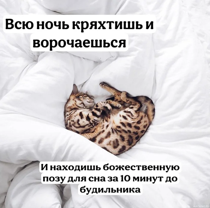 Post of morning injustice… - My, Dream, cat, Morning, Injustice, Picture with text