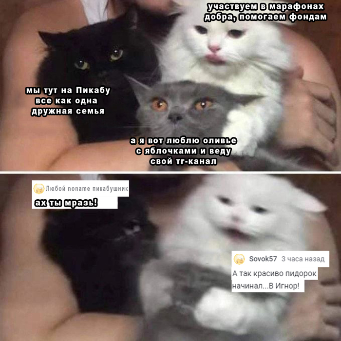   ,  