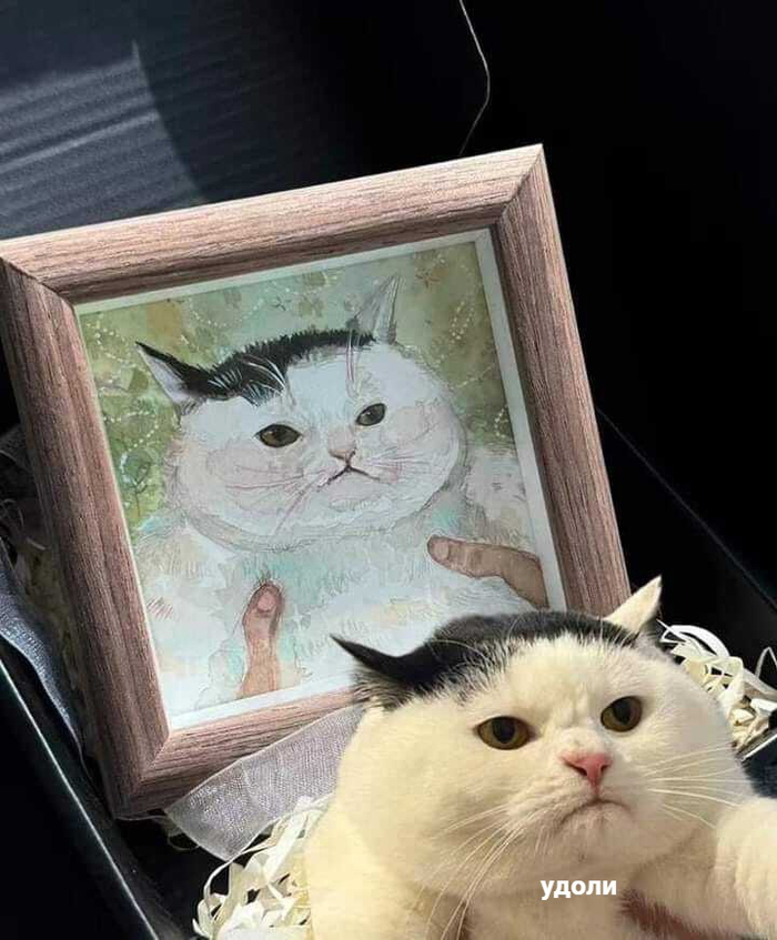 Камера полнит просто