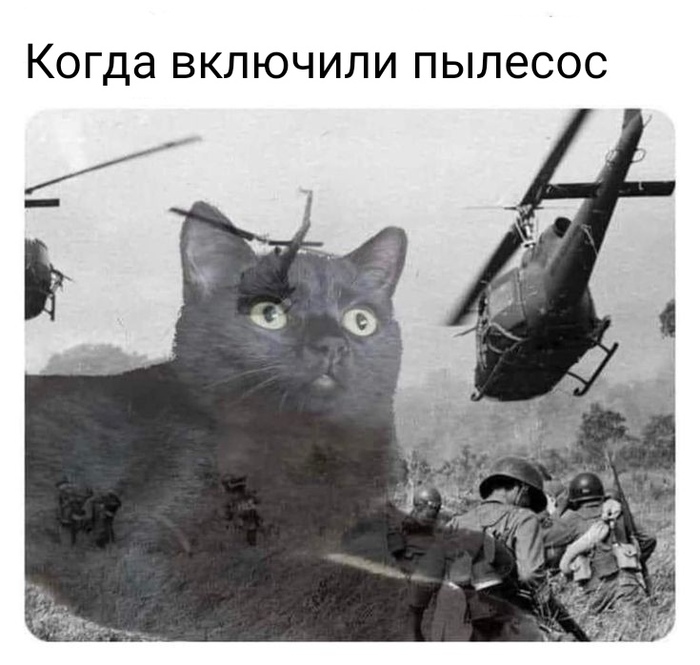Джонни, они на деревьях