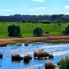 The Apochka River in Spring - My, Picture with text, Mobile photography