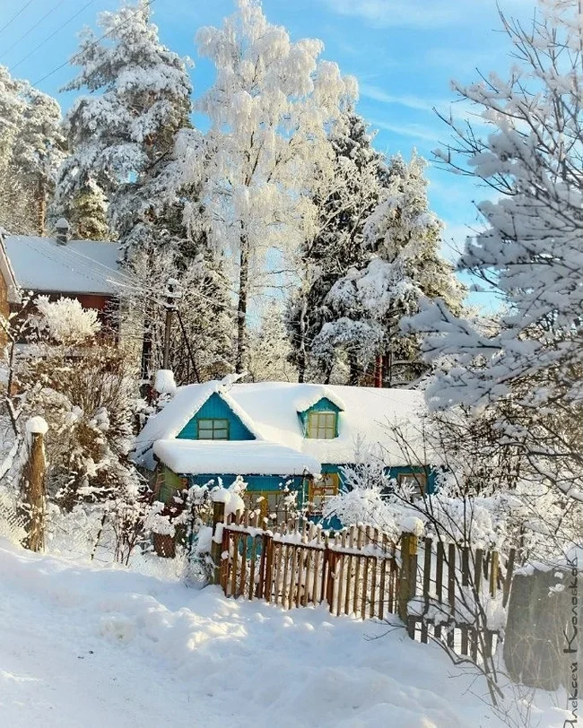 House in the village, Leningrad region - House, Village, Leningrad region, Snow, The photo