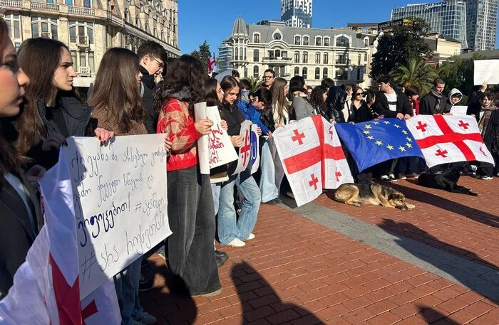 Reply to the post Eating Babies - Protests in Georgia, Telegram (link), Reply to post, Vertical video, Video, Batumi, Madness, Protest, Pupils, Salome Zurabishvili, news, Georgia, Politics