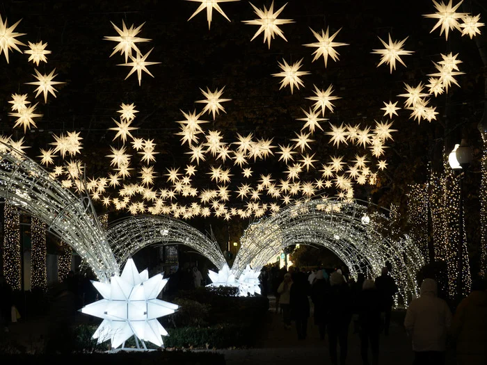 Aleksandrovsky Boulevard is getting brighter - My, Krasnodar, New Year, Decor, Decoration, Christmas tree, New Year's miracle, Longpost