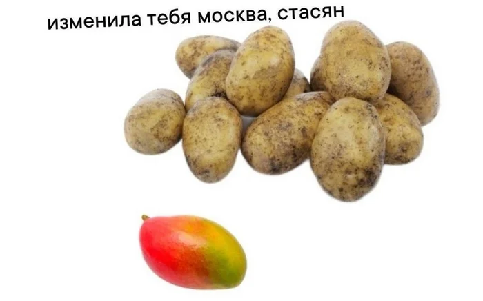 When I came home to the Moscow region from work in Moscow - Moscow, Moscow region, Humor, Mango, Potato, Changes, Picture with text