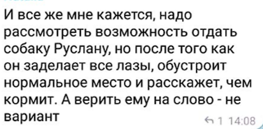 Живодеры Ильменского проезда - Радикальная зоозащита, Зоозащитники, Бродячие собаки, Собачники, Длиннопост, Негатив