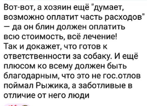 Живодеры Ильменского проезда - Радикальная зоозащита, Зоозащитники, Бродячие собаки, Собачники, Длиннопост, Негатив